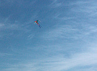 A boy flies a kite at the beach